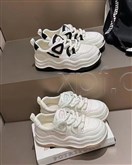 圣莫妮卡