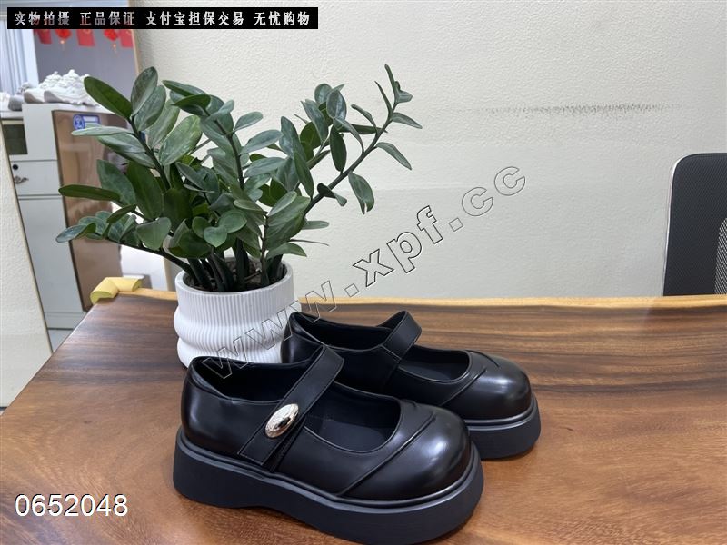 香草鸟66108