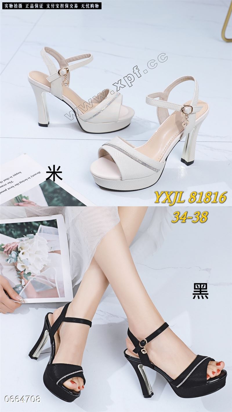 佐布奴81816