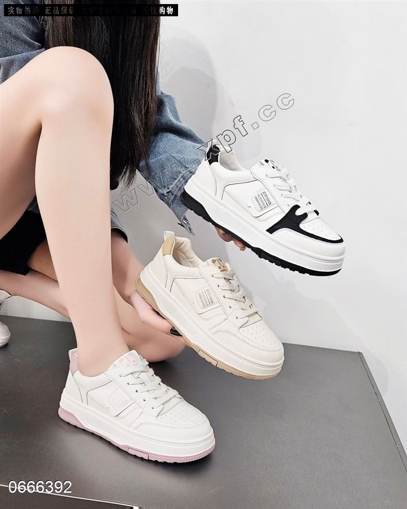 广州佐布奴66096