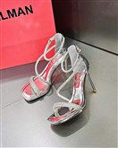 他她它