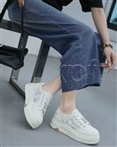 圣莫妮卡  透网