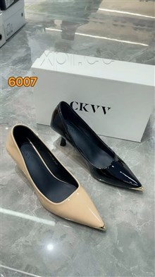 CCTV   6007