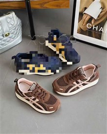 圣莫尼卡
