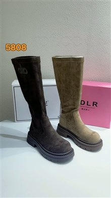 俞菲妮/精点丽人  5808