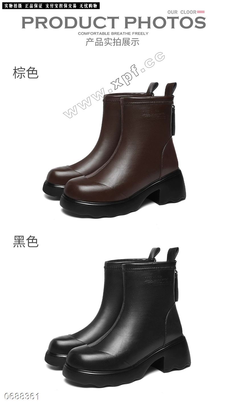 金丝兔  加棉