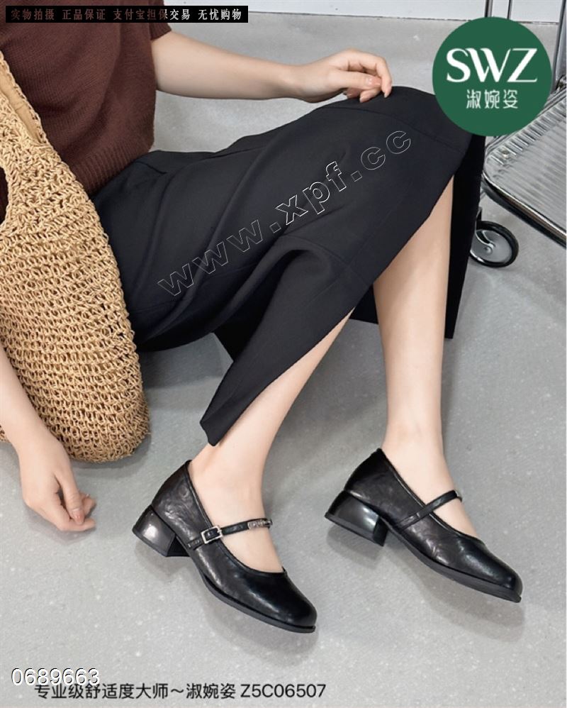 WZ​  06507