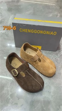 成功鸟719-6