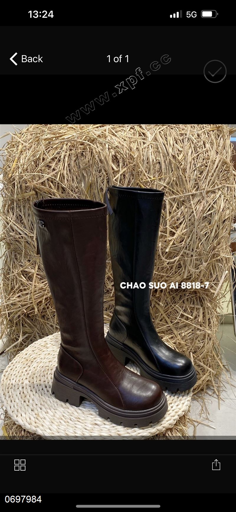 潮所爱  280克棉