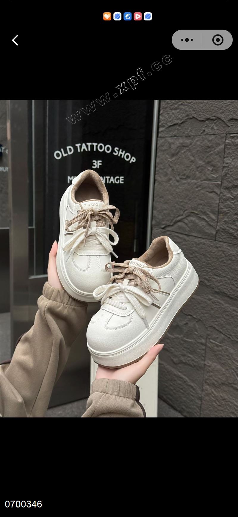 印象媚媚  加绒