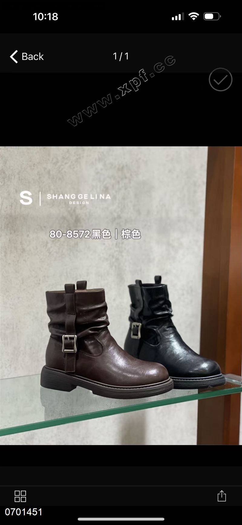 尚格莉娜80一8572  加棉