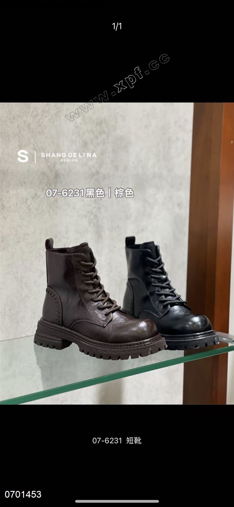 尚格莉娜07一6231  加棉