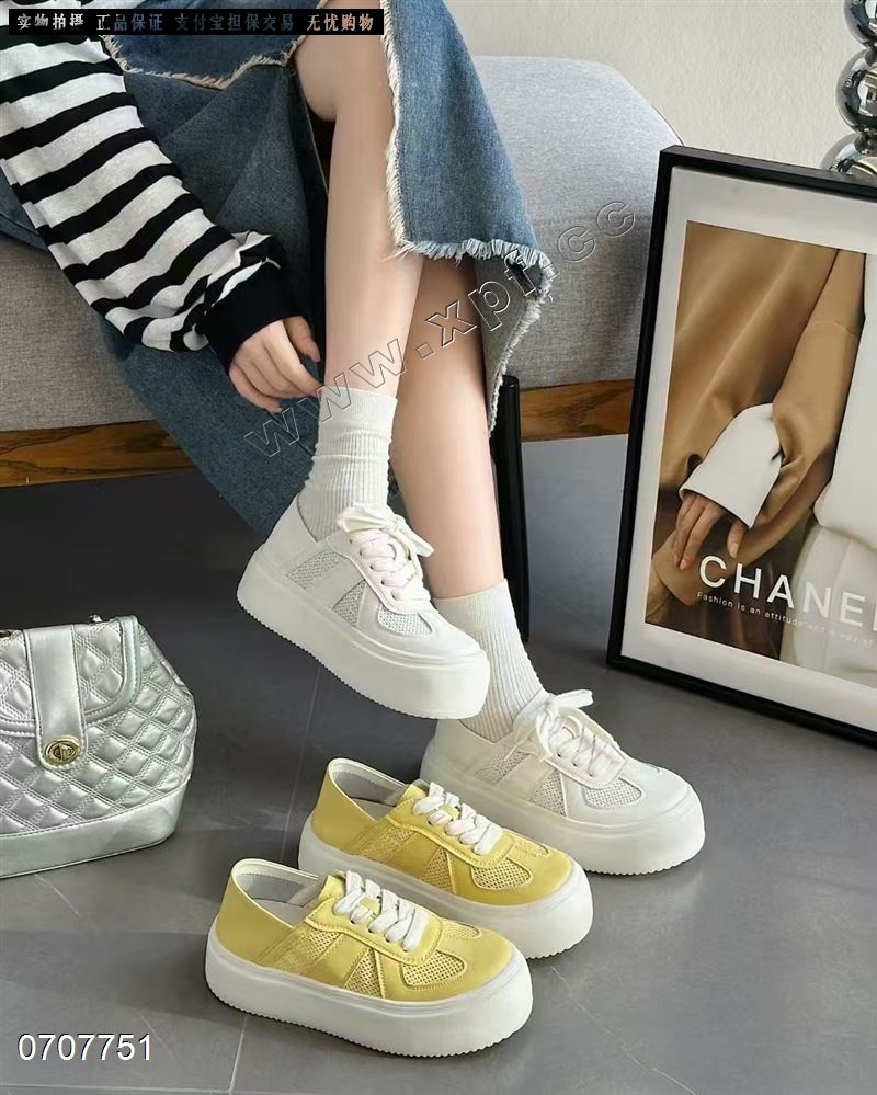 圣莫尼卡  透网