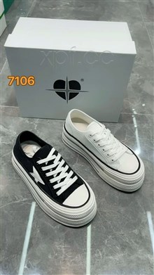 爱丽维斯7106  透网