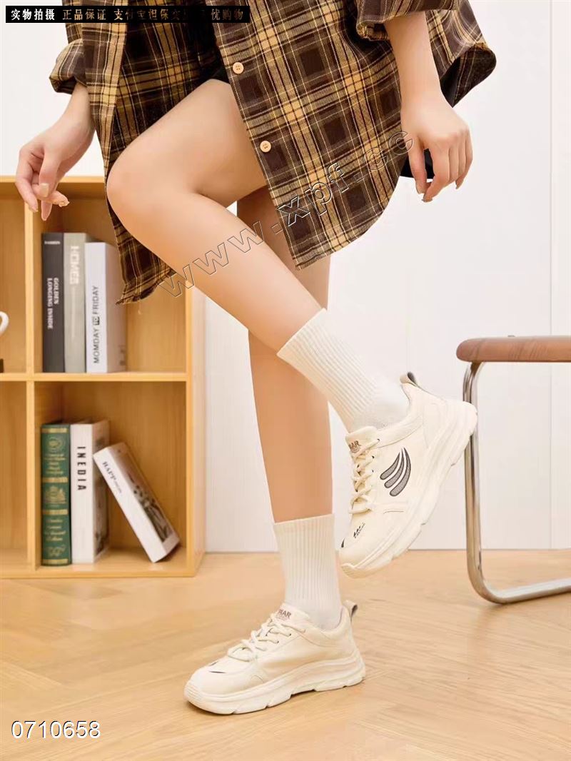 圣莫妮卡  677789