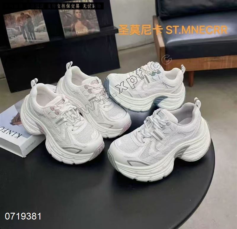 圣莫尼卡  单网