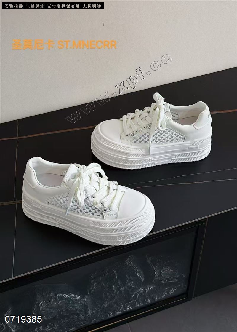 圣莫尼卡  透网