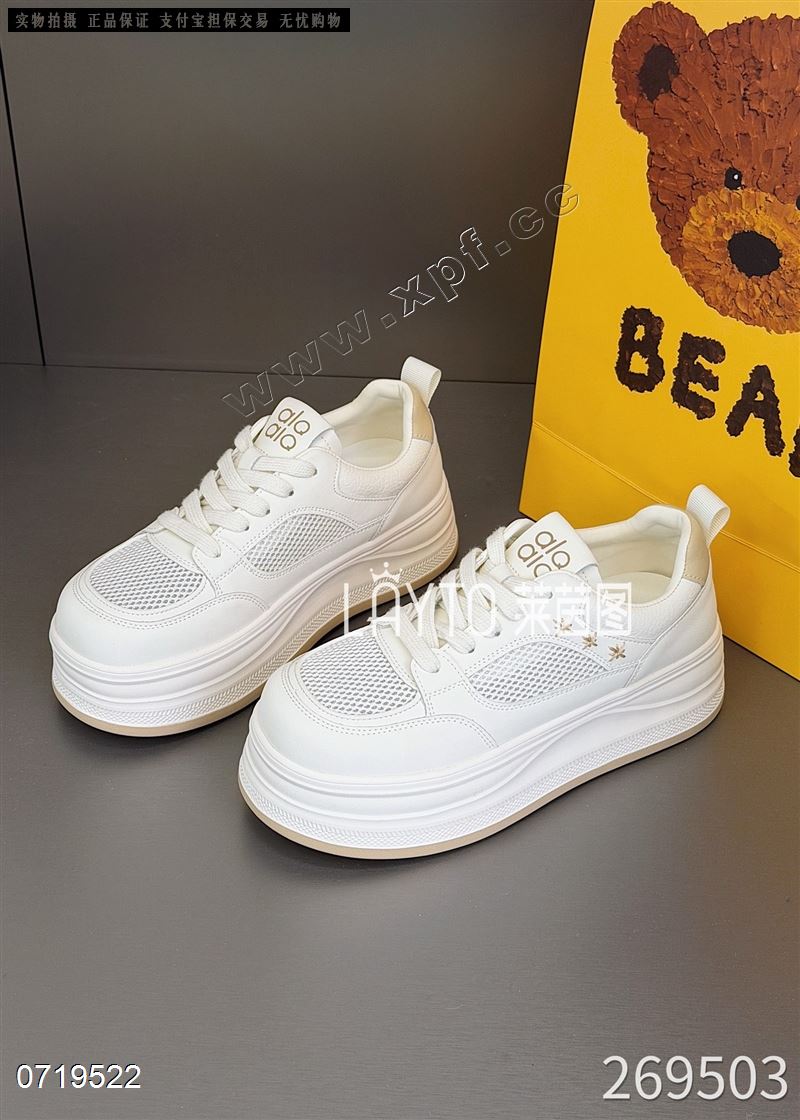 莱茵图269503  透网