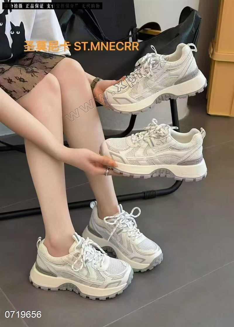 圣莫尼卡  透网