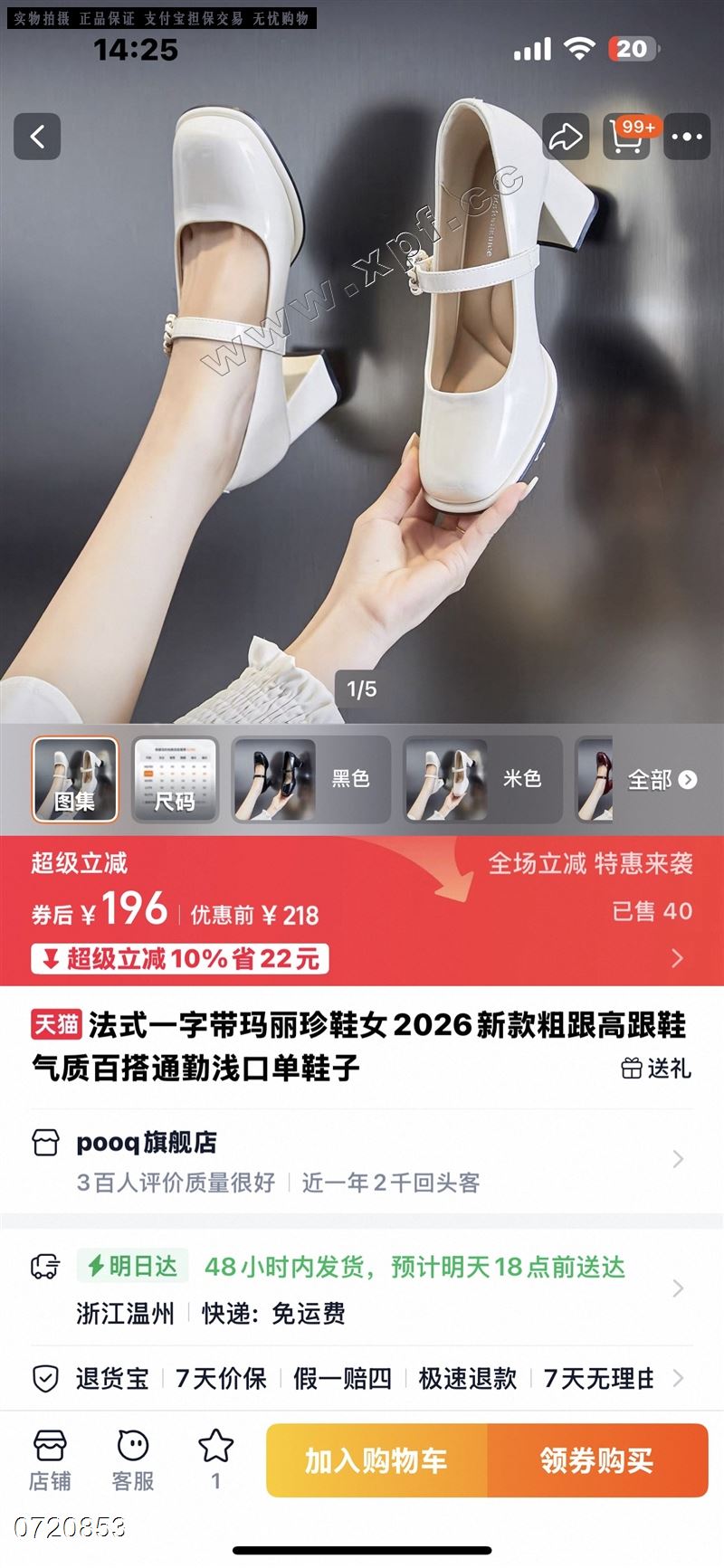 卡丝露78 －55  黑45668红45678米5 6 8