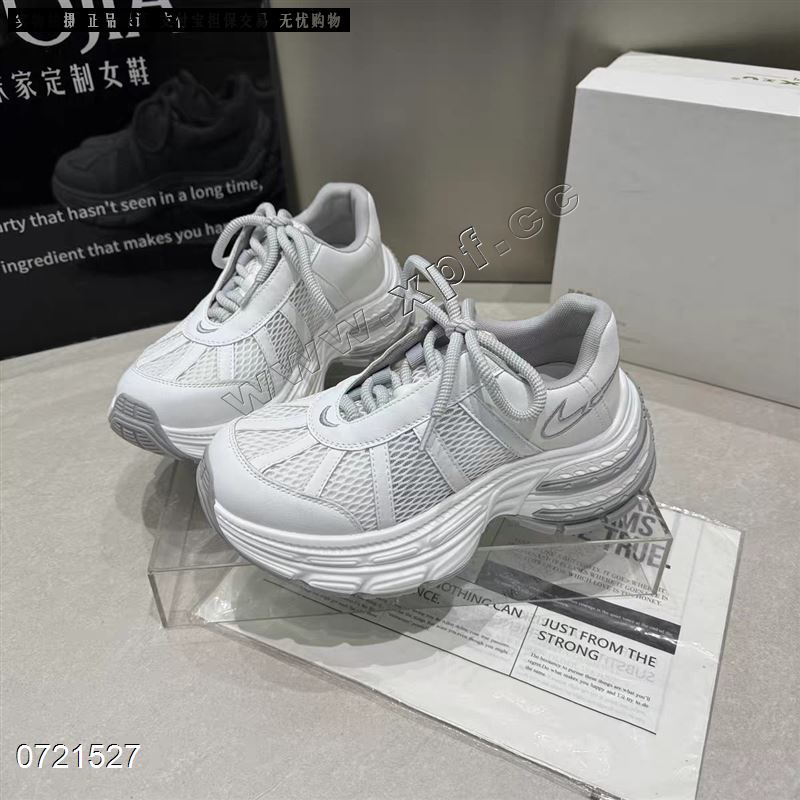 莱丝丹妮  透网