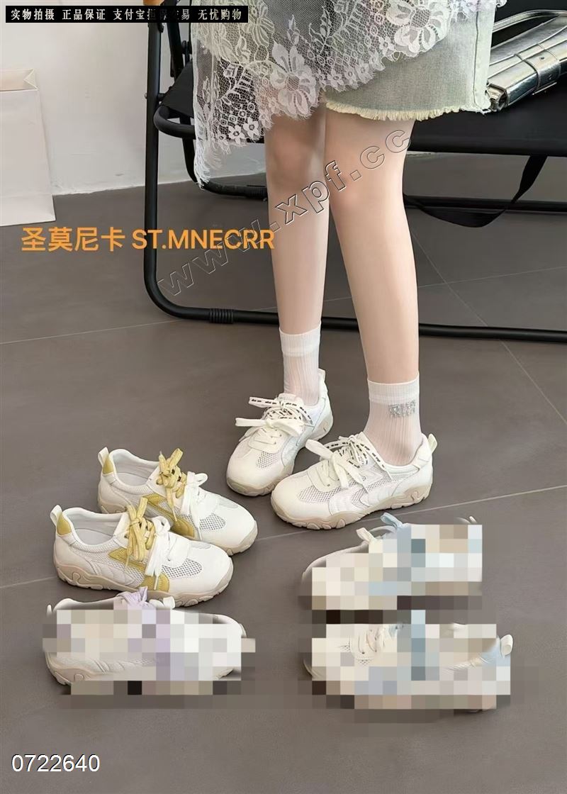 圣莫尼卡  透网