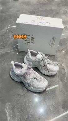 艾琪意9668  透网