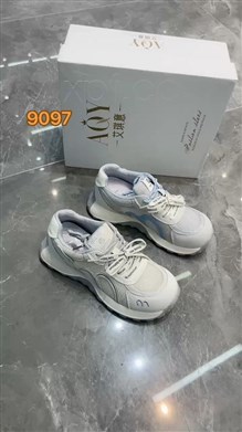 艾琪意9097  透网