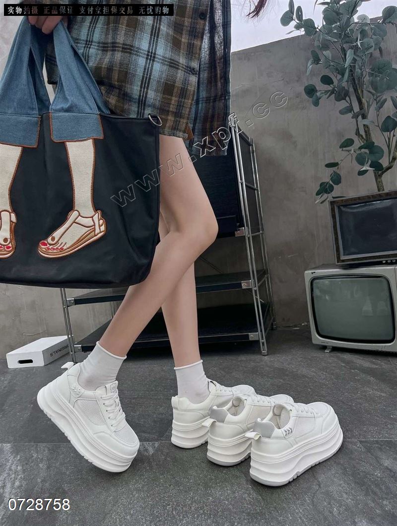 巨微2229-66