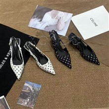 金洛熙217