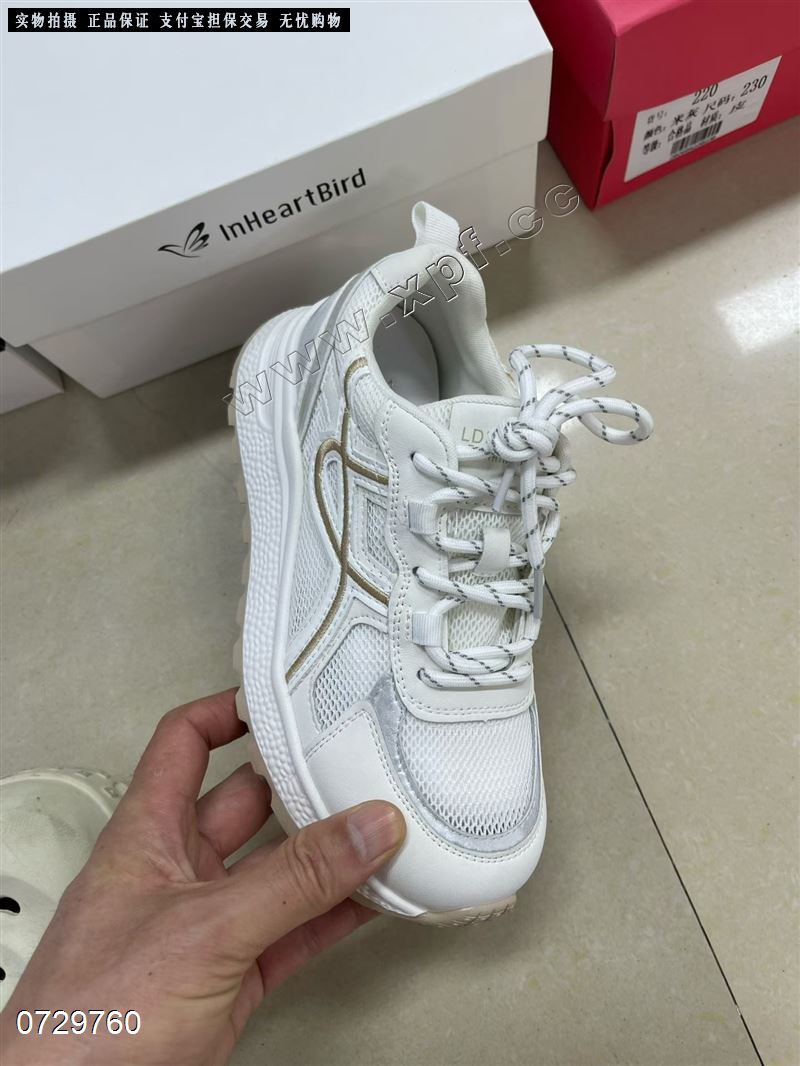印心鸟  透网