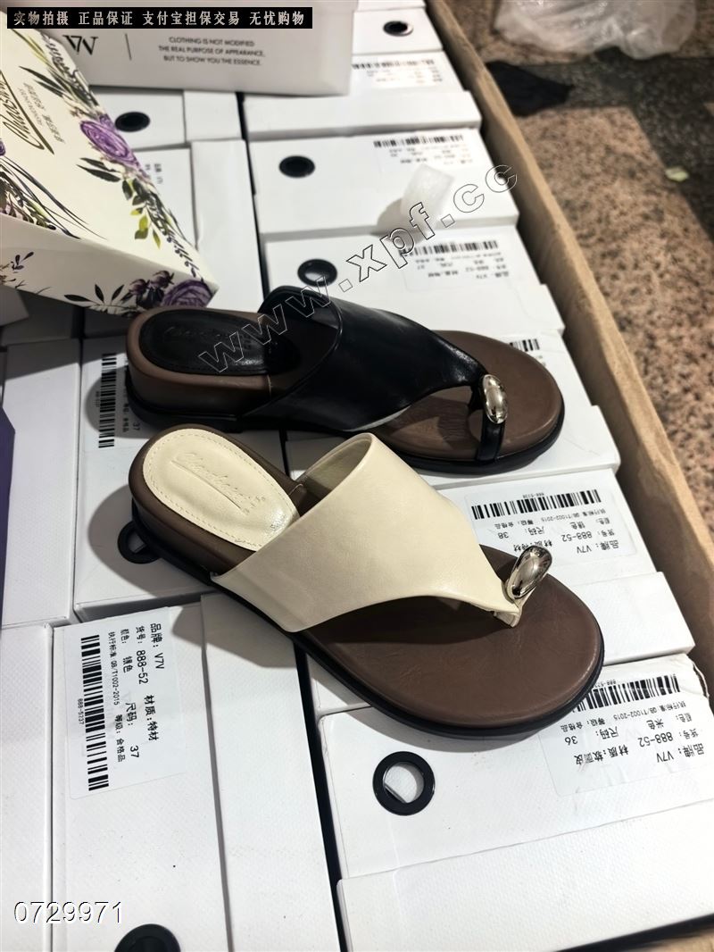 莎佩266622-1