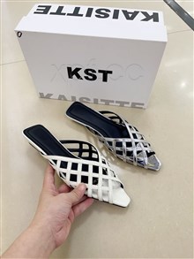 凯思特  8360