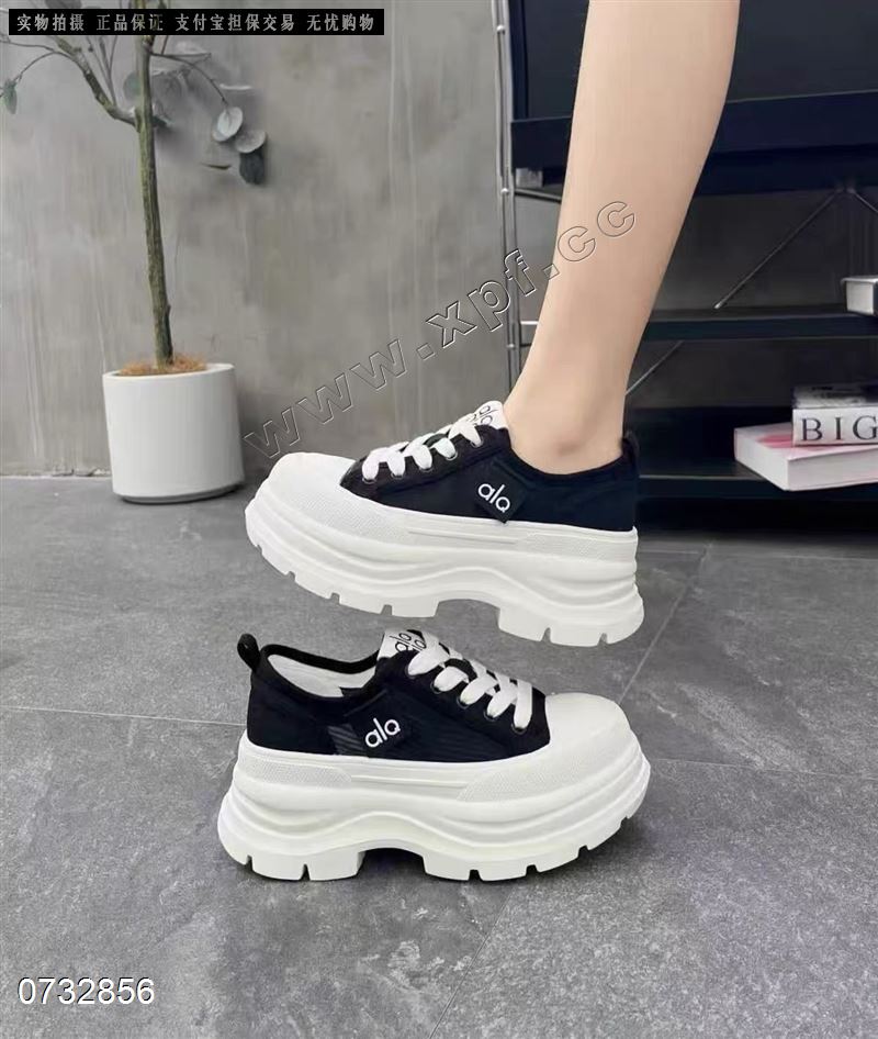 毛毛2611