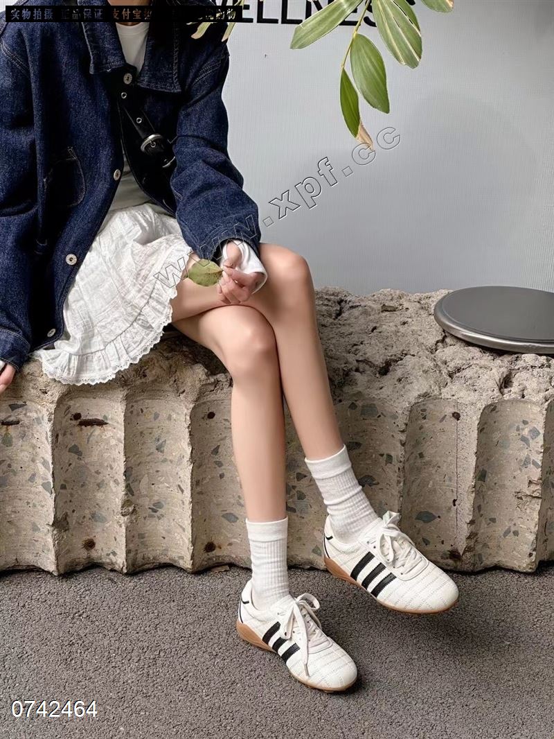 莱菲迪 39-196