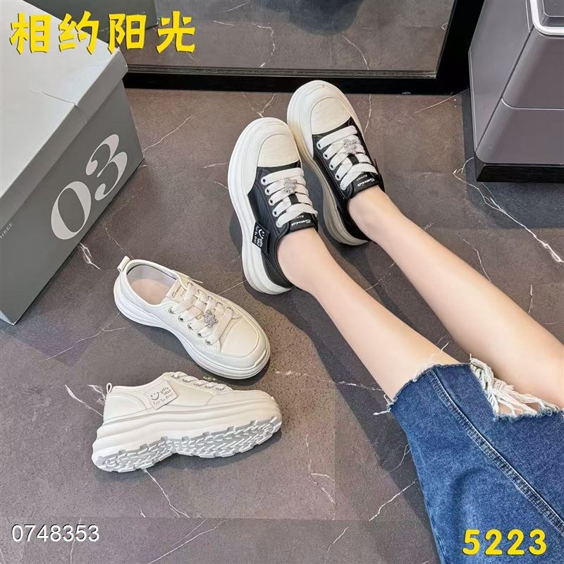 相约阳光 5223