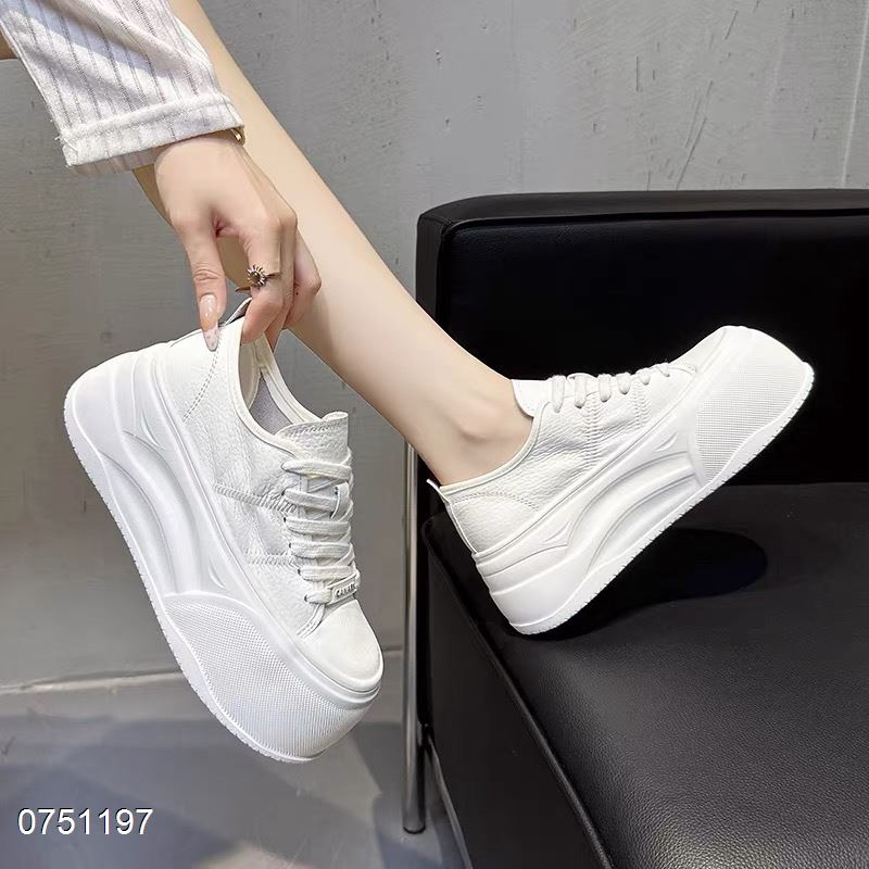 贝坤轩